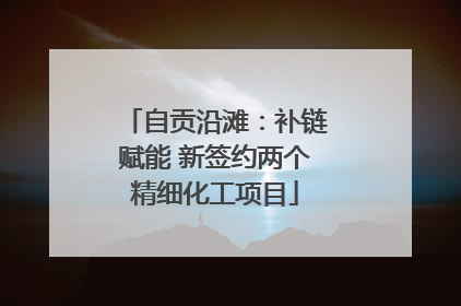 自贡沿滩：补链赋能 新签约两个精细化工项目