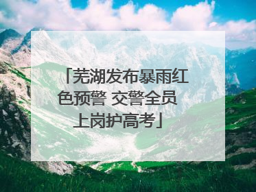 芜湖发布暴雨红色预警 交警全员上岗护高考