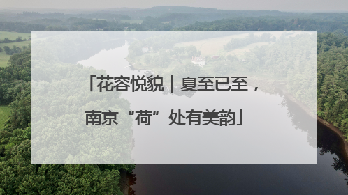 花容悦貌｜夏至已至，南京“荷”处有美韵