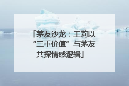 茅友沙龙：王莉以“三重价值”与茅友共探情感逻辑