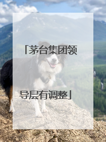 茅台集团领导层有调整