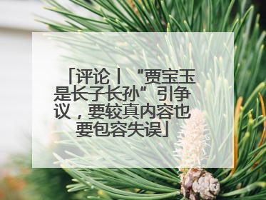 评论丨“贾宝玉是长子长孙”引争议，要较真内容也要包容失误