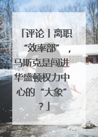 评论丨离职“效率部”，马斯克是闯进华盛顿权力中心的“大象”？