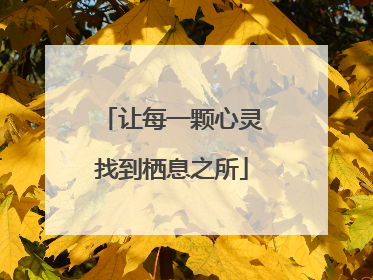 让每一颗心灵找到栖息之所
