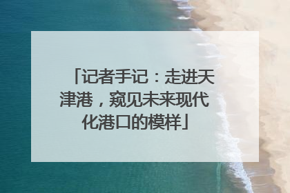 记者手记：走进天津港，窥见未来现代化港口的模样