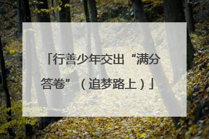 行善少年交出“满分答卷”（追梦路上）