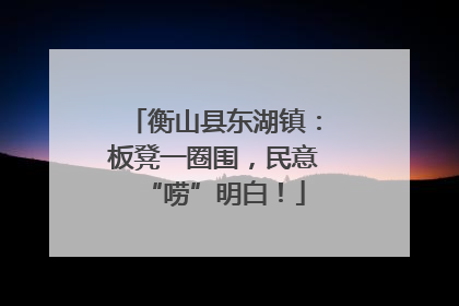 衡山县东湖镇：板凳一圈围，民意“唠”明白！