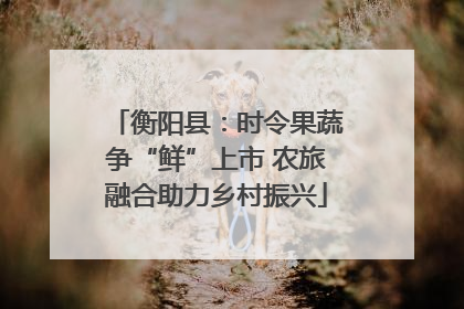 衡阳县：时令果蔬争“鲜”上市 农旅融合助力乡村振兴