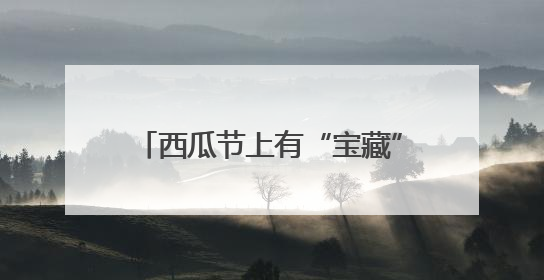 西瓜节上有“宝藏”！天津静海台头西瓜文化旅游节甜蜜开幕