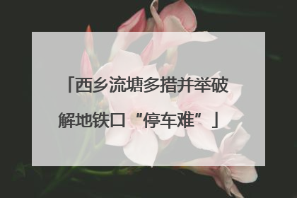 西乡流塘多措并举破解地铁口“停车难”