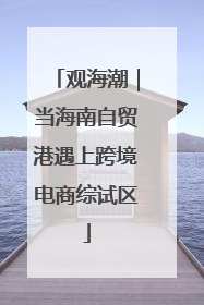 观海潮｜当海南自贸港遇上跨境电商综试区