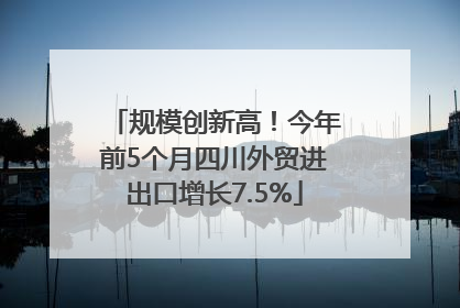 规模创新高！今年前5个月四川外贸进出口增长7.5%