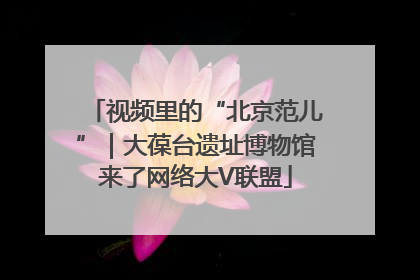 视频里的“北京范儿”｜大葆台遗址博物馆来了网络大V联盟
