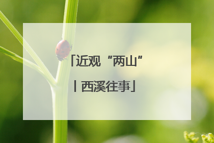 近观“两山”丨西溪往事