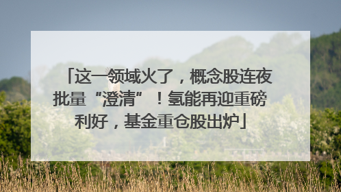 这一领域火了，概念股连夜批量“澄清”！氢能再迎重磅利好，基金重仓股出炉