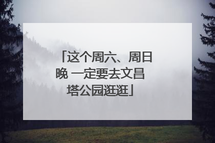 这个周六、周日晚 一定要去文昌塔公园逛逛
