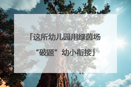 这所幼儿园用绿茵场“破题”幼小衔接