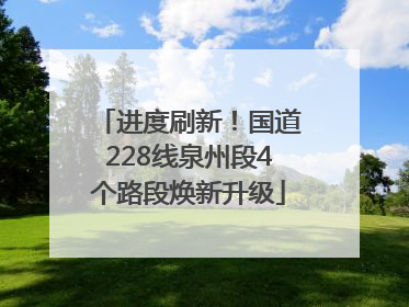 进度刷新！国道228线泉州段4个路段焕新升级