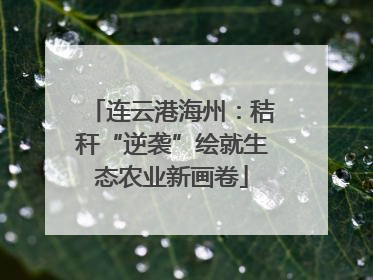 连云港海州：秸秆“逆袭”绘就生态农业新画卷