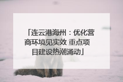 连云港海州：优化营商环境见实效 重点项目建设热潮涌动