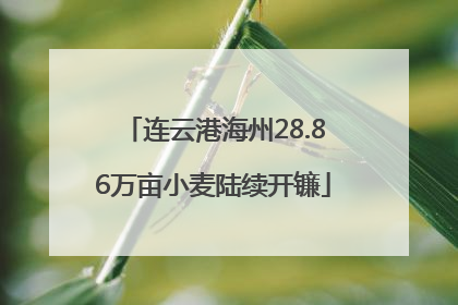 连云港海州28.86万亩小麦陆续开镰