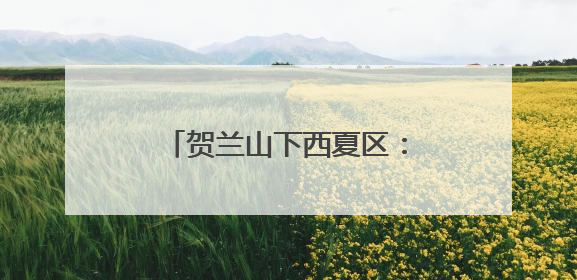 贺兰山下西夏区：执“生态之笔” 书写“绿色答卷”