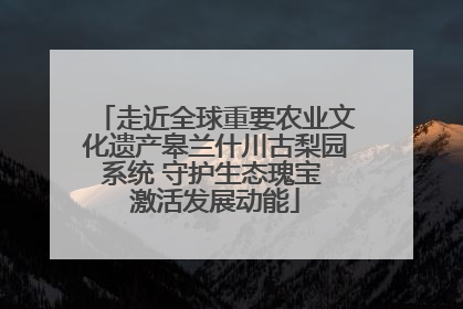 走近全球重要农业文化遗产皋兰什川古梨园系统 守护生态瑰宝 激活发展动能