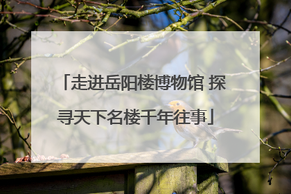 走进岳阳楼博物馆 探寻天下名楼千年往事