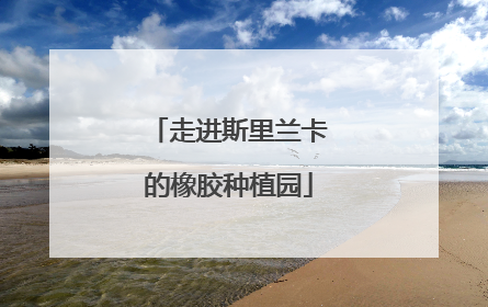 走进斯里兰卡的橡胶种植园