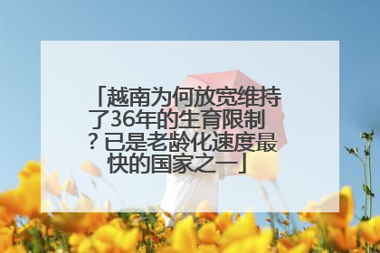 越南为何放宽维持了36年的生育限制？已是老龄化速度最快的国家之一