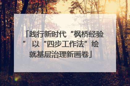 践行新时代“枫桥经验” 以“四步工作法”绘就基层治理新画卷