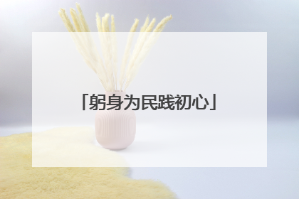 躬身为民践初心