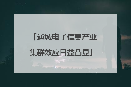 通城电子信息产业集群效应日益凸显