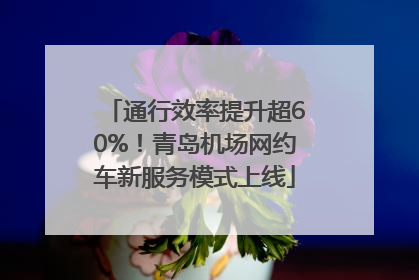通行效率提升超60%！青岛机场网约车新服务模式上线