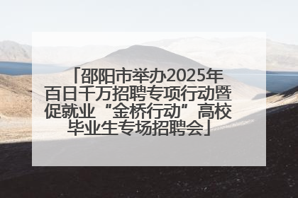 邵阳市举办2025年百日千万招聘专项行动暨促就业“金桥行动”高校毕业生专场招聘会