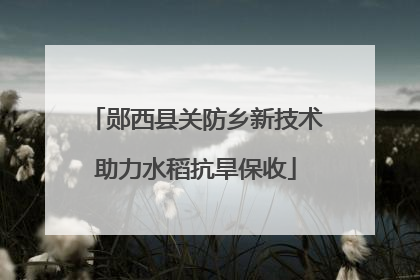郧西县关防乡新技术助力水稻抗旱保收