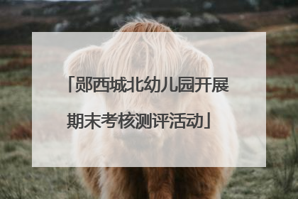 郧西城北幼儿园开展期末考核测评活动