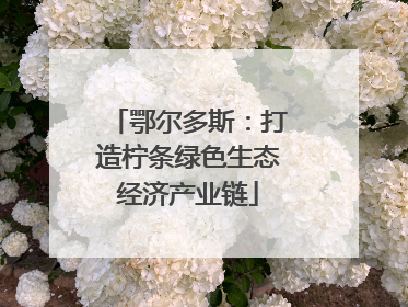 鄂尔多斯：打造柠条绿色生态经济产业链