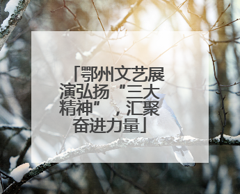 鄂州文艺展演弘扬“三大精神”，汇聚奋进力量