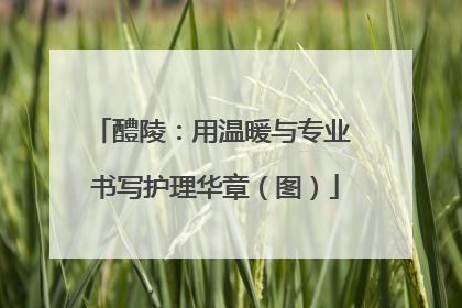 醴陵：用温暖与专业 书写护理华章（图）