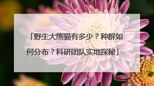野生大熊猫有多少？种群如何分布？科研团队实地探秘