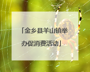 金乡县羊山镇举办促消费活动