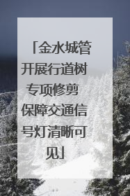 金水城管开展行道树专项修剪 保障交通信号灯清晰可见