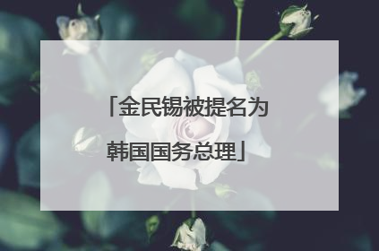 金民锡被提名为韩国国务总理