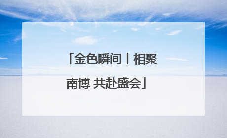 金色瞬间丨相聚南博 共赴盛会