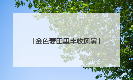 金色麦田里丰收风景