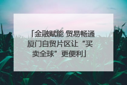金融赋能 贸易畅通 厦门自贸片区让“买卖全球”更便利