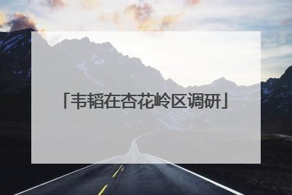 韦韬在杏花岭区调研
