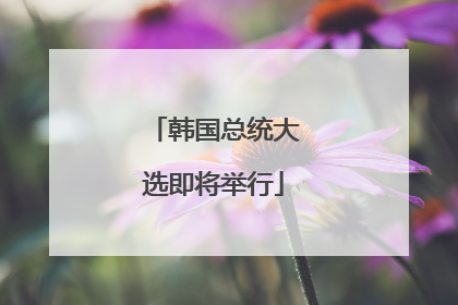 韩国总统大选即将举行