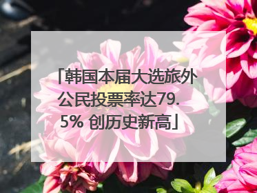 韩国本届大选旅外公民投票率达79.5% 创历史新高